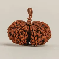 Рудракша Иша Гаури-Шанкар, Иша Лайф; Energized Isha Gauri-Shankar Rudraksha Isha Life